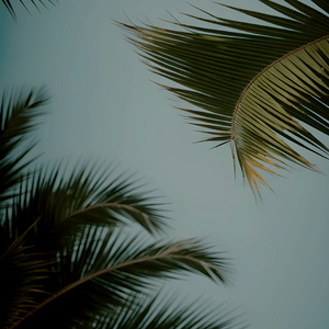 女生让男生看她的小笼包
